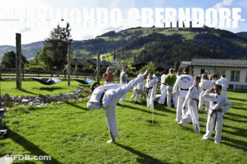 Group Practicing Taekwondo Oberndorf GIF