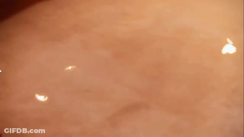 Group Riding Motorcycles Motorcyclist Text GIF