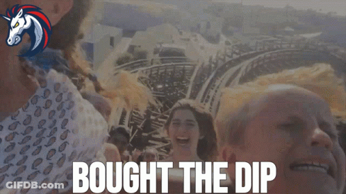 Group Riding Roller Coaster Bought The Dip GIF