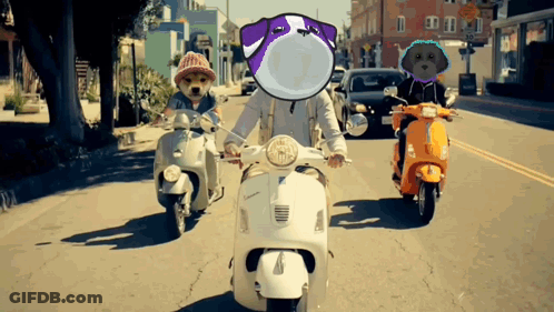 Group Riding Scooters With Dog On Head GIF