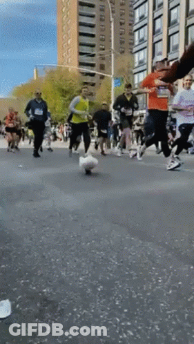 Group Running Marathon With Yellow Shirt GIF