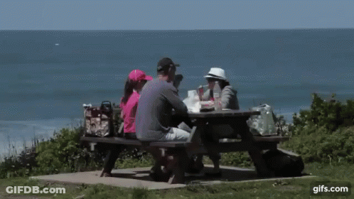 Group Sitting At Picnic Table Near Ocean GIF