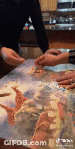 Group Sitting At Table With Starfish Picture GIF