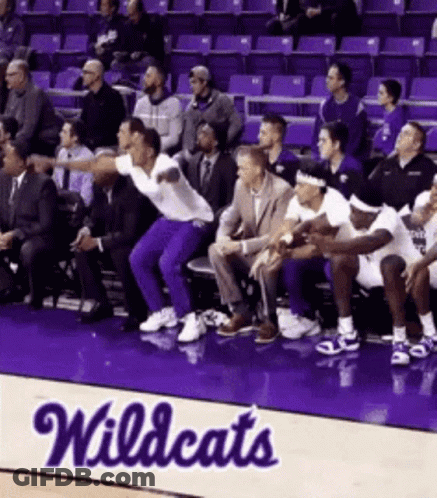 Group Sitting In Stadium With Wildcats On Floor GIF