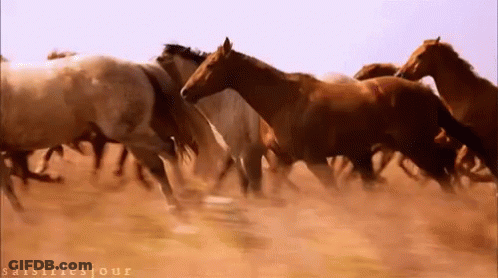 Group Sitting It's A Transformer GIF