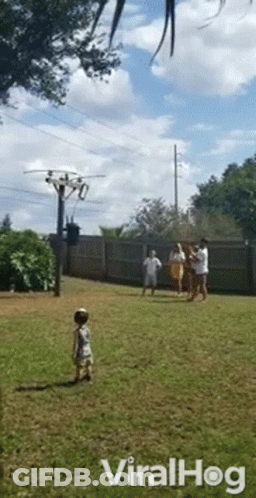 Group Standing In Field With Viralhog Text GIF