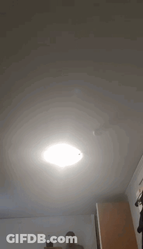 Group Standing In Front Of Green Vehicle GIF
