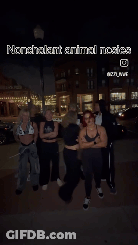 Group Standing On Sidewalk With Dolphin Saying Nonchalant Animal Noises GIF