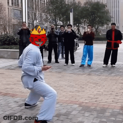 Group Taking Pictures Of Man In Cat Mask With Crown GIF