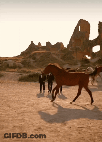 Group Walking Behind Brown Horse GIF