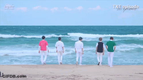 Group Walking On Beach With Big Air GIF