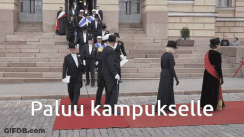 Group Walking On Red Carpet Paluu Kampuselle GIF