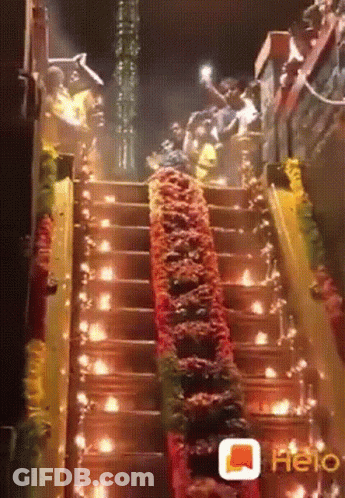 Group Walking Up Stairs With Lights And Flowers GIF