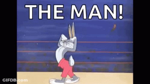 Group Watching Dolphin Show GIF