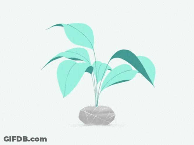 Growing Alegria Motion Plant GIF