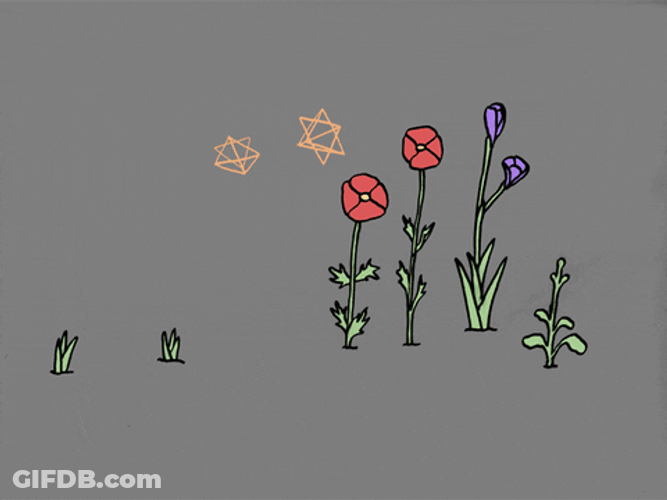 Growing Flowers Animation GIF