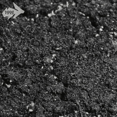 Growing Plant Breaking Ground Time Lapse GIF