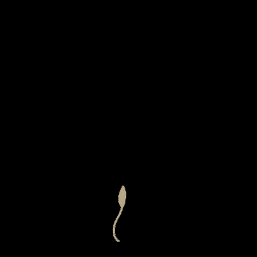 Growing Plant Minimalist Digital Art GIF