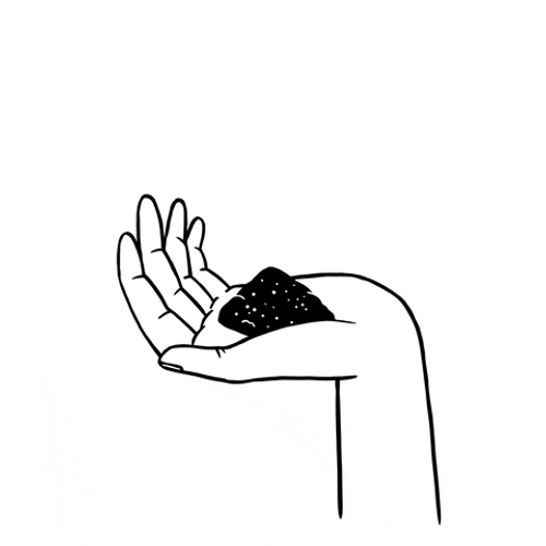 Growing Plant On Palm Mobile Sketch GIF