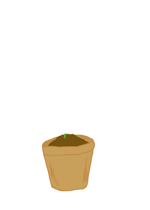 Growing Plant Ready Grow Animated Art GIF