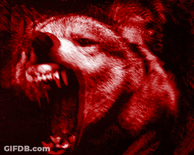 Growling Wolf Terror GIF