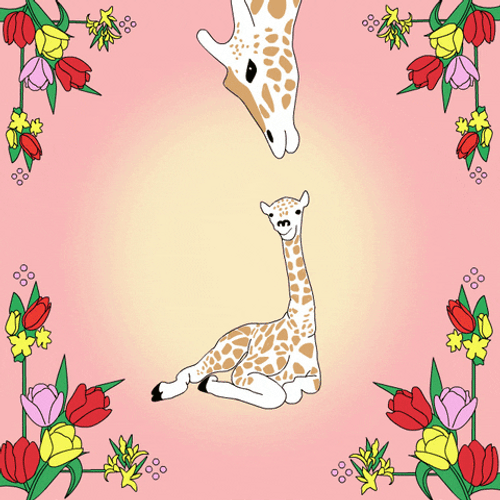 Grown Up Happy Birthday Daughter Kissing Giraffe GIF