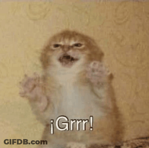 Grr Angry Kitten GIF