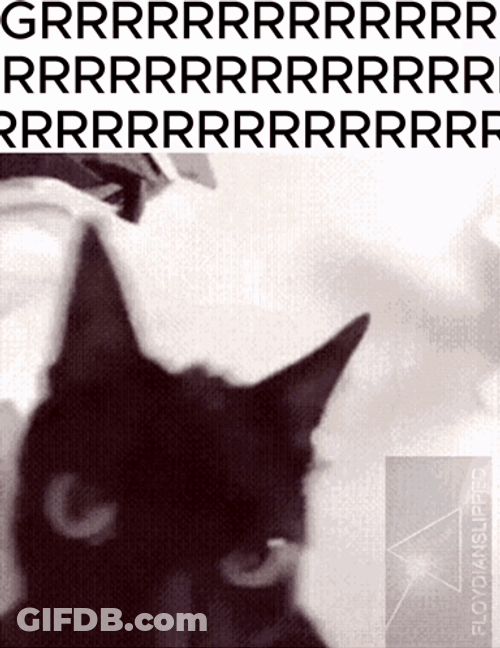 Grr Histerical Cat GIF