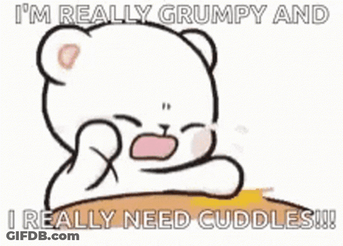 Grumpy And Crying Cat GIF
