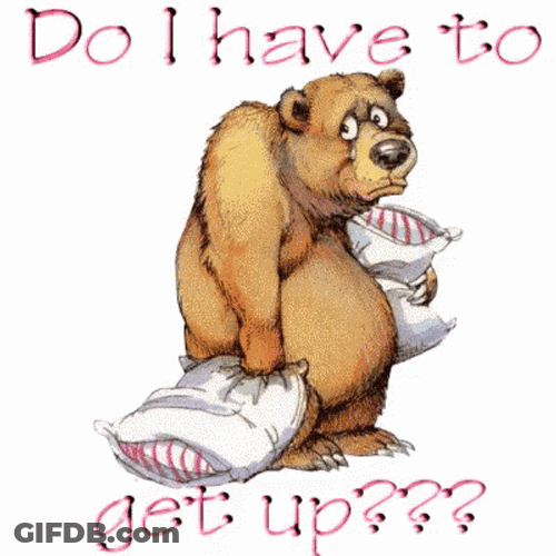 Grumpy Bear Good Morning Thursday Funny GIF
