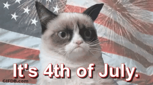 Grumpy Cat American Flag It's 4Th Of July GIF