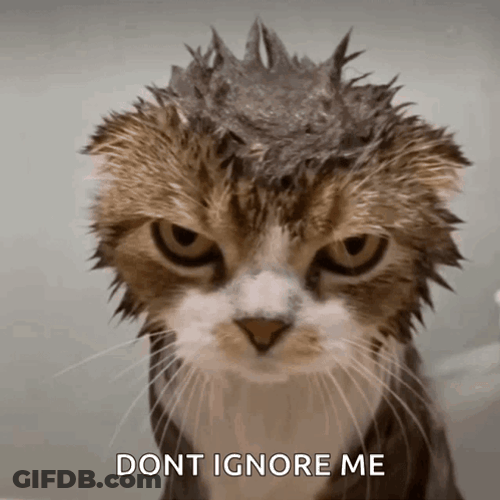 Grumpy Cat Angry Ignoring GIF
