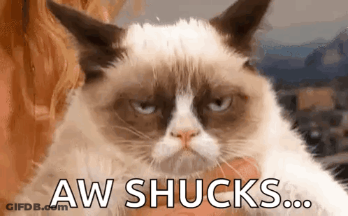 Grumpy Cat Being Held Looking At Camera GIF