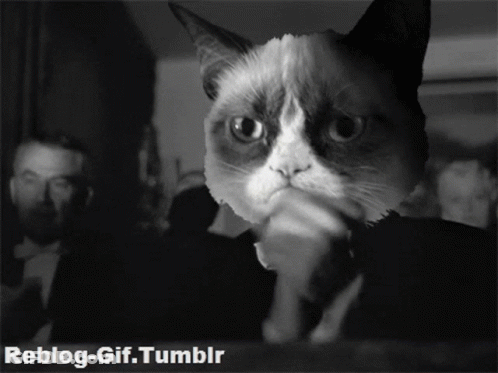 Grumpy Cat Black And White Photo Reblog-Gif.Tumblr GIF
