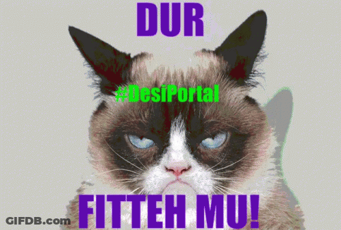 Grumpy Cat Dur Fitteh Mu GIF
