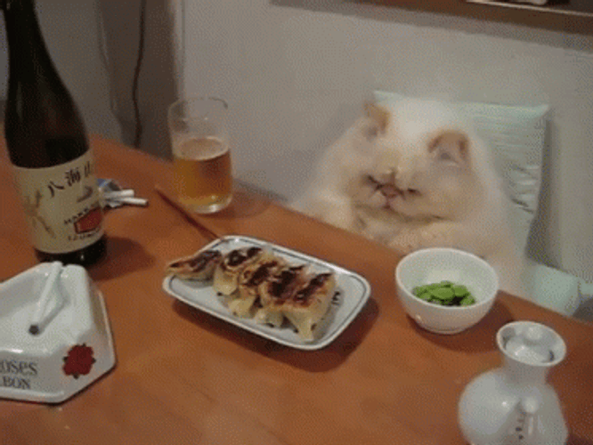 Grumpy Cat Eating Sushi GIF