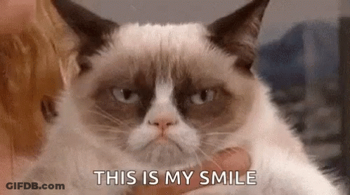 Grumpy Cat Held And Smiling GIF