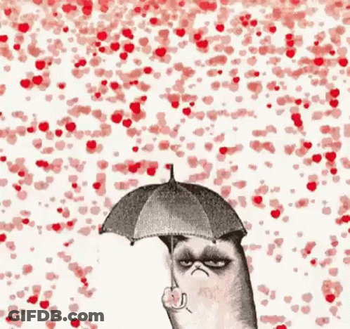 Grumpy Cat Holding Umbrella GIF