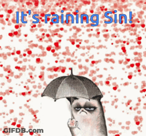 Grumpy Cat Holding Umbrella Raining Sin GIF