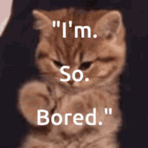 Grumpy Cat I'm So Bored GIF