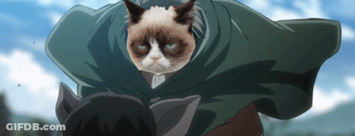Grumpy Cat In Cape Next To Man GIF