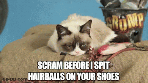 Grumpy Cat Laying On Bag Saying Scram Before I Spit Hairballs On Your Shoes GIF