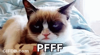 Grumpy Cat Laying On Bed Saying Pfff GIF