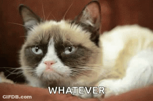 Grumpy Cat Laying On Couch Saying Whatever GIF