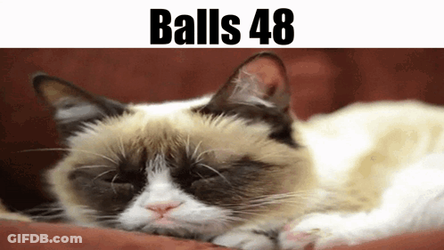 Grumpy Cat Laying On Couch With Balls 48 GIF