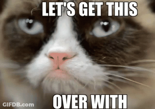 Grumpy Cat Let's Get This Over With GIF