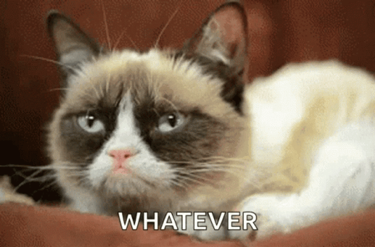 Grumpy Cat Whatever GIF