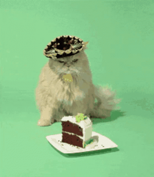 Grumpy Cat With Crown GIF