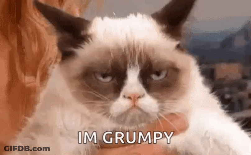 Grumpy Cat With Eyebags GIF