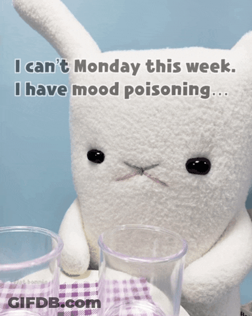 Grumpy Cute Monday GIF